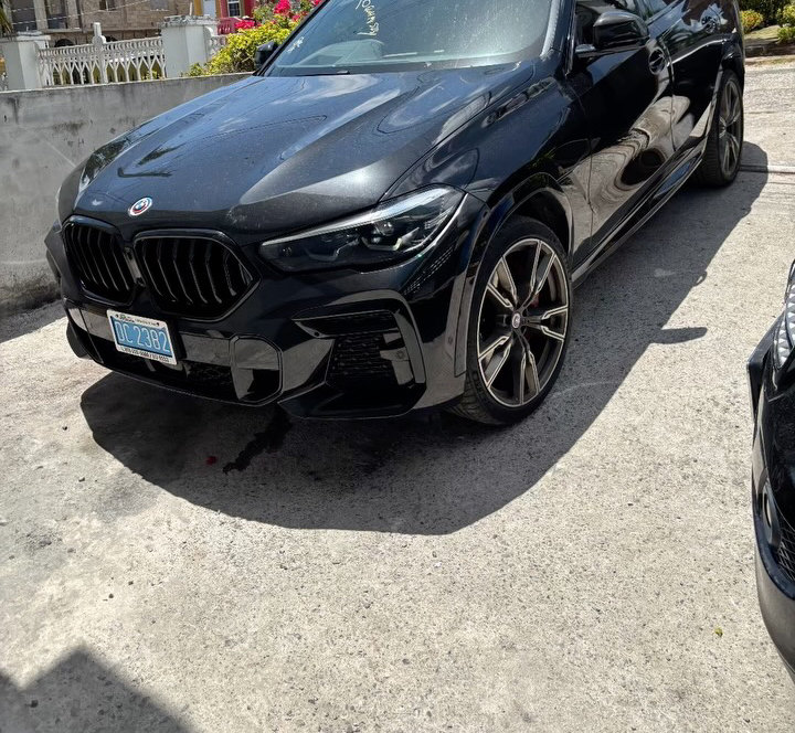 BMW X6 M50i — Servicing and maintenance