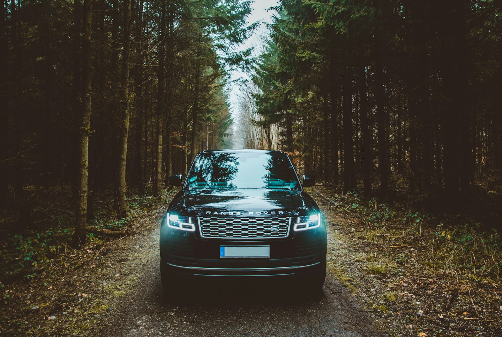 A dark Range Rover on a forest track